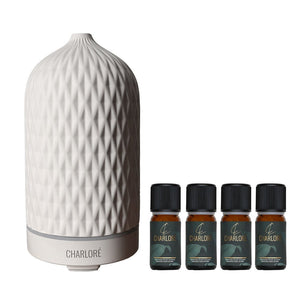 White Diamond diffuser deluxe set met 4 etherische oliën